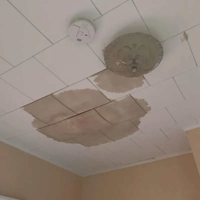 Ceiling Water Damage Repair in Parkersburg, WV