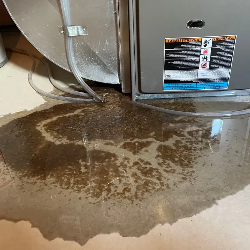 Pipe Burst and Leak Restoration in Parkersburg, WV