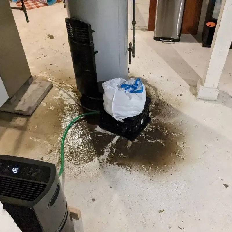 Sewage Backup Cleanup Service in Parkersburg, WV